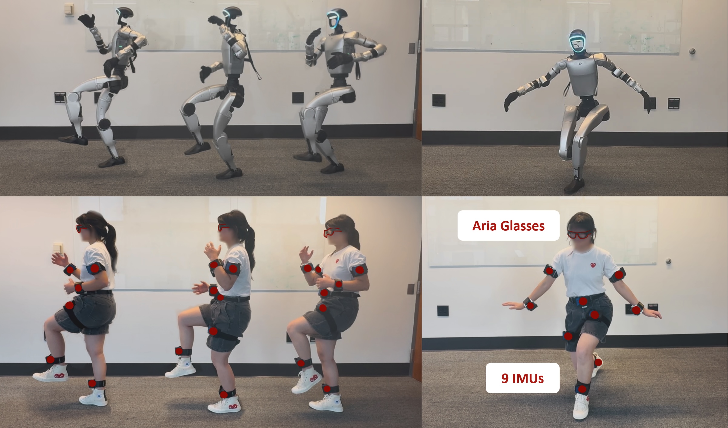 RoSHI system overview